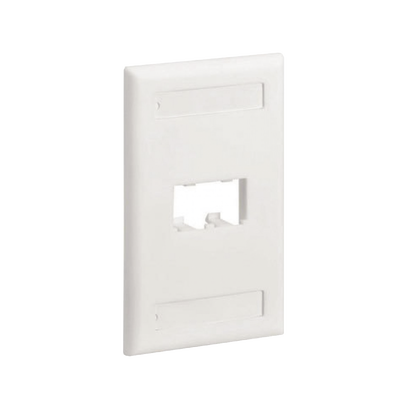 Placa de Pared Vertical Clásica, Salida Para 2 Puertos Mini-Com, Con Espacios Para Etiquetas, Color Blanco