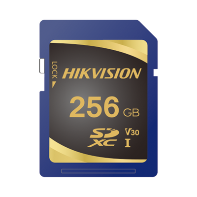 Memoria SD Clase 10 de 256 GB / Especializada Para Videovigilancia